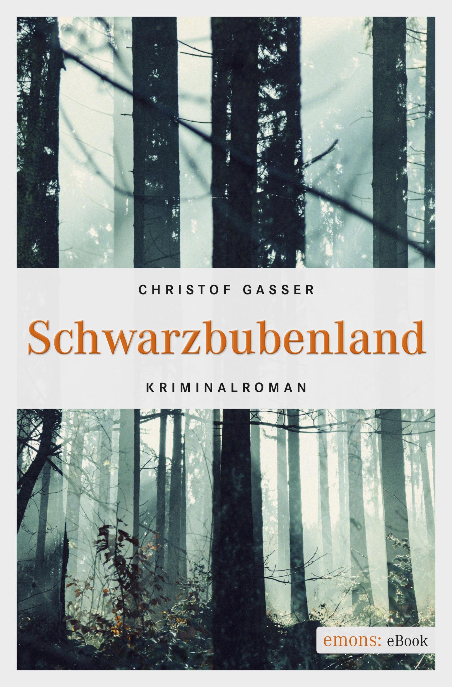 Schwarzbubenland Kriminalroman