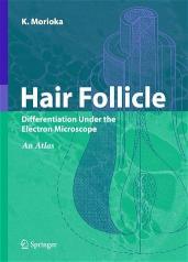 Hair Follicle Differentiation under the Electron Microscope - An Atlas